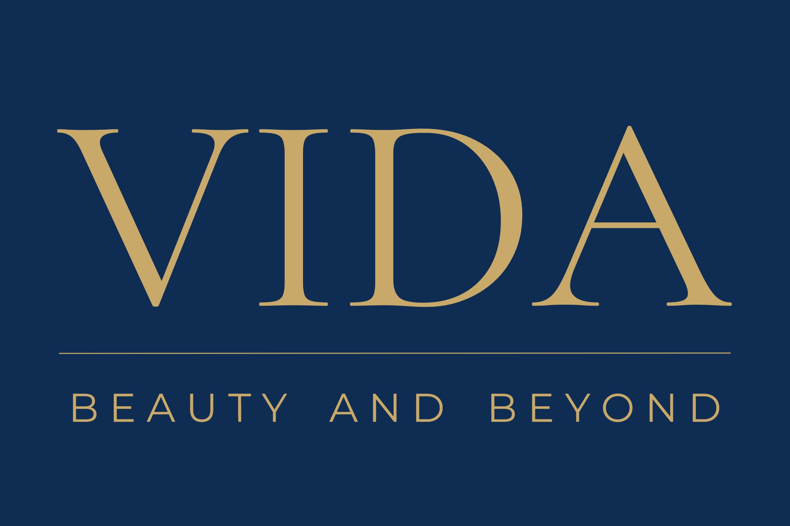 VIDA Logo